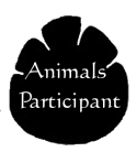 <img125*0:stuff/Animals Participant.gif>